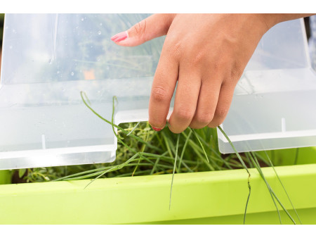 EDA Couvercle pour jardinière 'VEG&Table' City, transparent