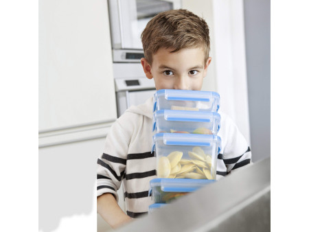 emsa Boîte de conservation CLIP & CLOSE, 0,35L, transparent