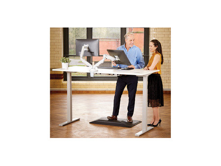 Fellowes Bras porte-écrans double Eppa, noir