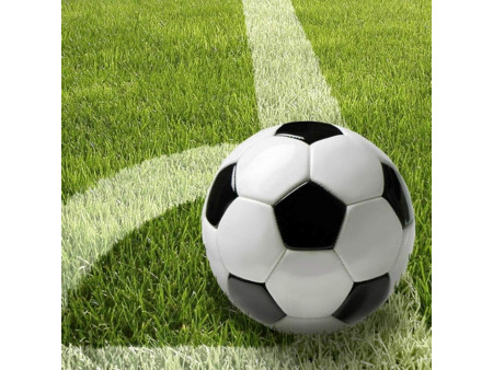PAPSTAR Serviettes à motif 'Football', 330 x 330 mm