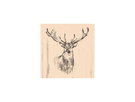 PAPSTAR Serviettes à motif 'Sommaräng', 330 x 330 mm,naturel