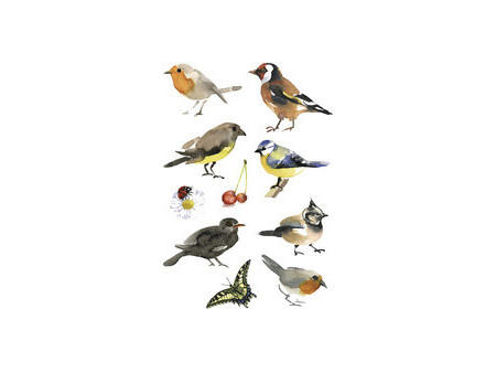 HERMA Sticker DECOR Rapaces