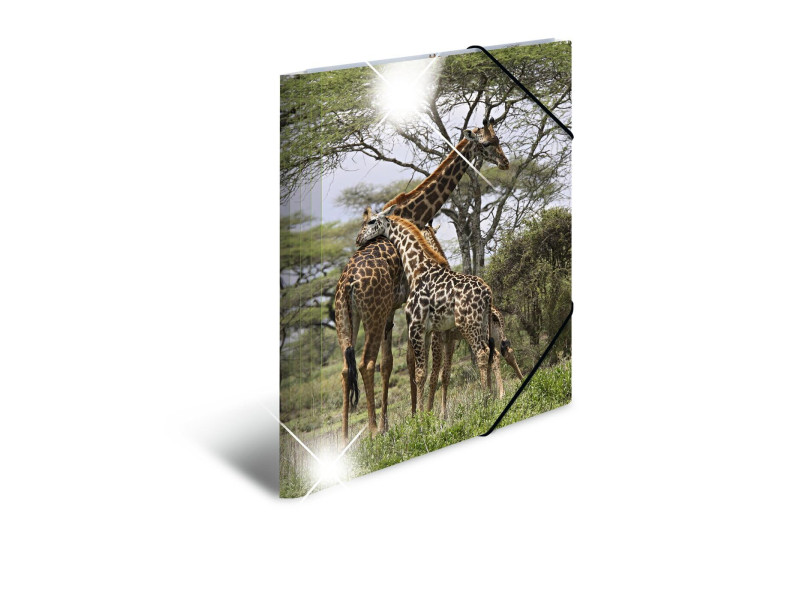 HERMA Chemise à élastiques 'girafe', PP Glossy, A4