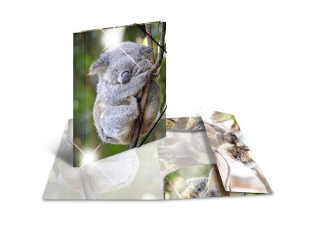 HERMA Chemise à élastiques 'koala', PP Glossy, A4