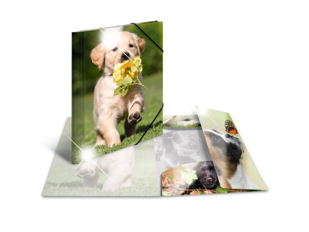 HERMA Chemise à élastiques 'chiens', PP Glossy, A4