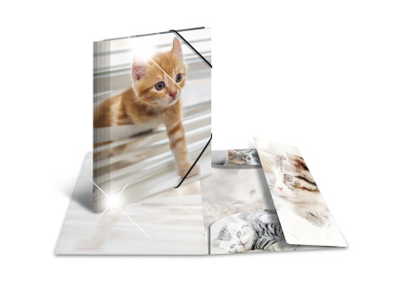 HERMA Chemise à élastiques 'chats', PP Glossy, A4
