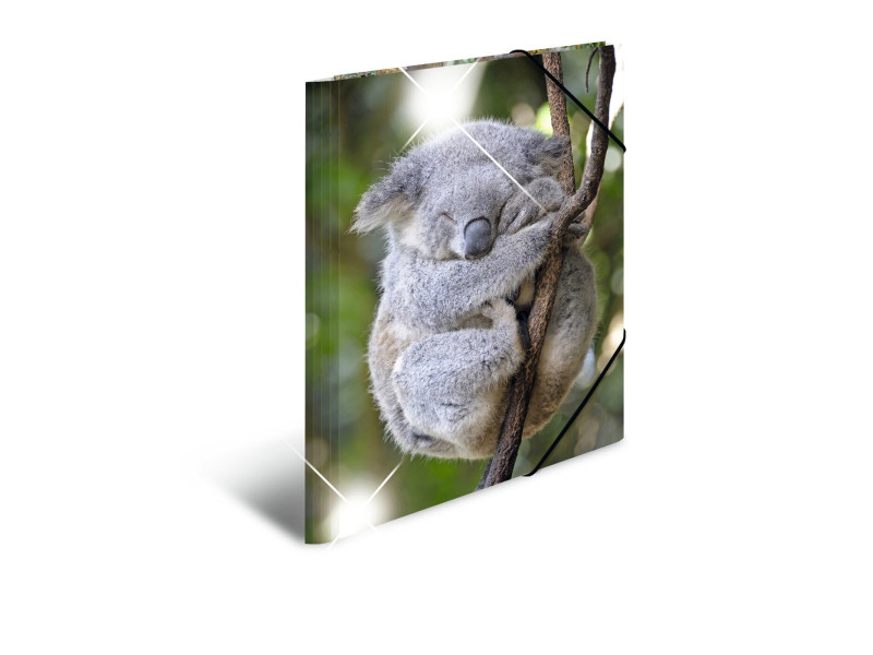 HERMA Chemise à élastiques 'koala', PP Glossy, A3