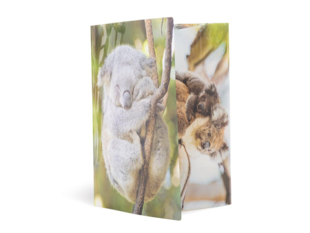 HERMA Chemise à élastiques 'koala', PP Glossy, A3