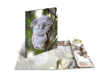 HERMA Chemise à élastiques 'koala', PP Glossy, A3