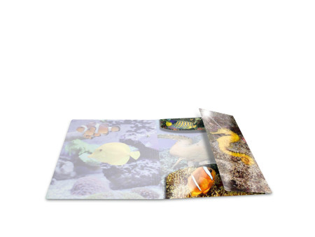 HERMA Chemise à élastiques 'poissons', PP Glossy, A3
