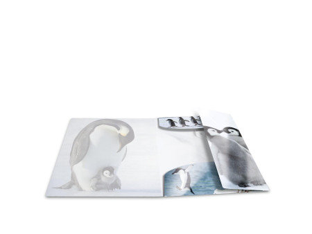 HERMA Chemise à élastiques 'pingouins', PP Glossy, A3