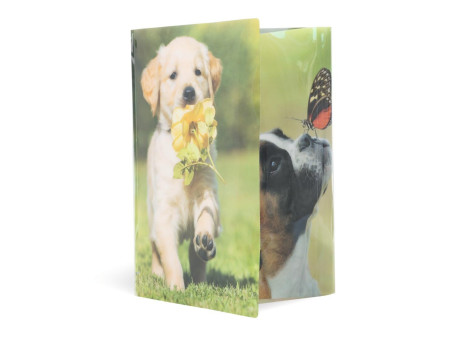 HERMA Chemise à élastiques 'chiens', PP Glossy, A3