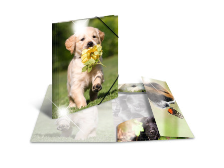 HERMA Chemise à élastiques 'chiens', PP Glossy, A3
