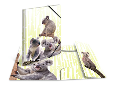 HERMA Chemise à élastiques Animaux exotiques, A4, koalas