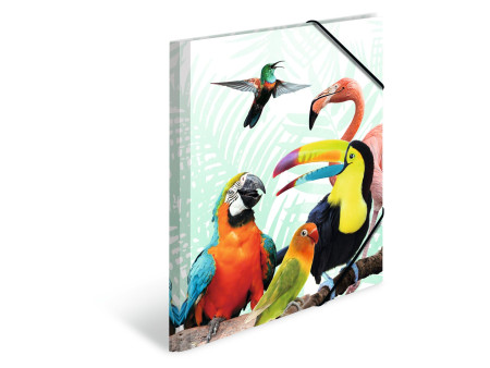 HERMA Chemise à élastiques Animaux exotiques, A4, oiseaux