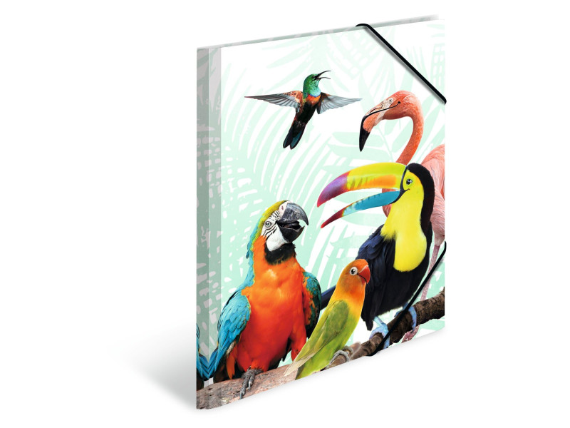 HERMA Chemise à élastiques Animaux exotiques, A4, oiseaux