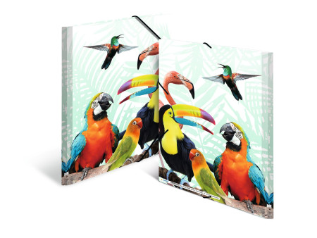 HERMA Chemise à élastiques Animaux exotiques, A4, oiseaux