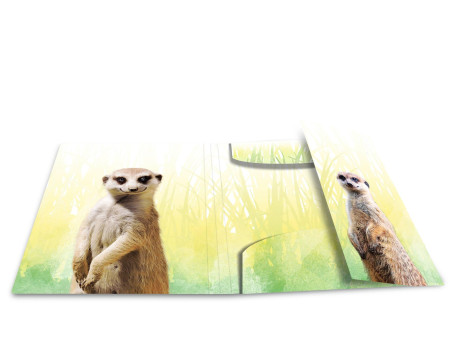 HERMA Chemise à élastiques Animaux exotiques, A4, suricates