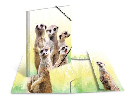 HERMA Chemise à élastiques Animaux exotiques, A4, suricates