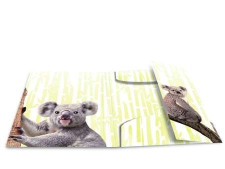 HERMA Chemise à élastiques Animaux exotiques, A3, koalas
