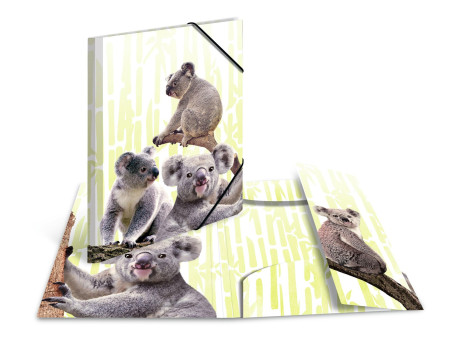 HERMA Chemise à élastiques Animaux exotiques, A3, koalas