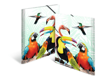 HERMA Chemise à élastiques Animaux exotiques, A3, oiseaux