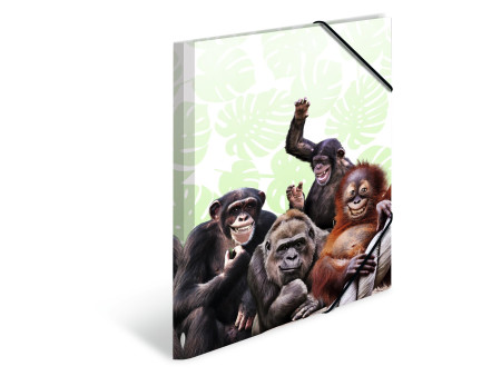 HERMA Chemise à élastiques Animaux exotiques, A3, singes