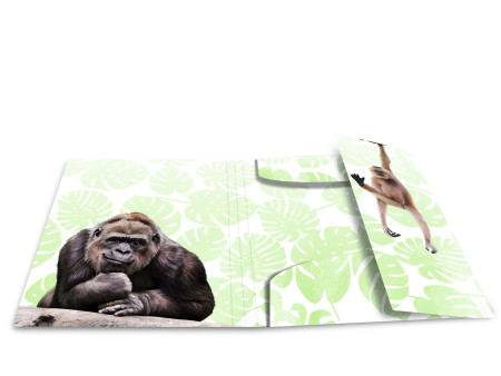 HERMA Chemise à élastiques Animaux exotiques, A3, singes