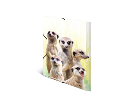 HERMA Chemise à élastiques Animaux exotiques, A3, suricates