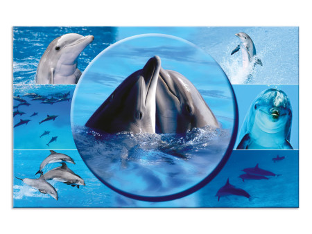 HERMA Sous-main 'Dauphins', (L)550 x (H)350 mm