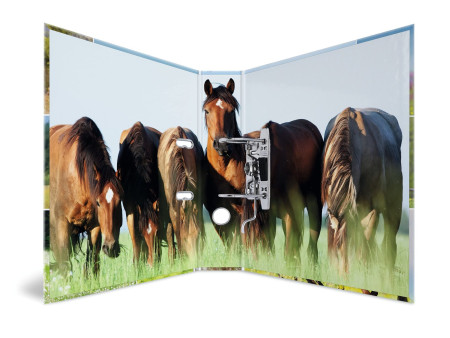 HERMA Classeur à levier 'Monde animal', Cheval dans le pré
