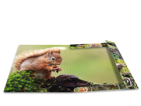 HERMA Chemise à élastiques 'Animaux de la forêt', carton, A3