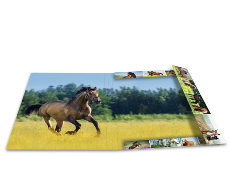 HERMA Chemise à élastiques 'Chevaux dans le pré', carton, A3