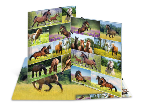 HERMA Chemise à élastiques 'Chevaux dans le pré', carton, A3